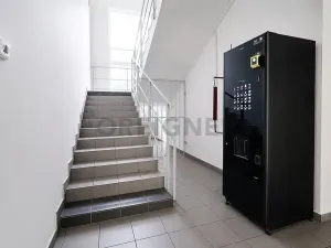 Pronájem kanceláře, Brno, Vinohradská, 15 m2
