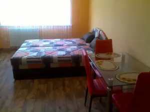 Pronájem bytu 1+kk, Praha - Podolí, Nedvědovo náměstí, 35 m2