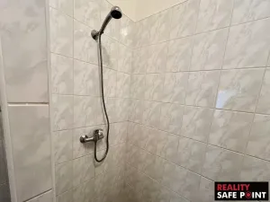 Prodej obchodního prostoru, Zruč-Senec, Plánská, 3159 m2