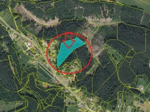 Prodej podílu lesa, Nosálov, 10723 m2