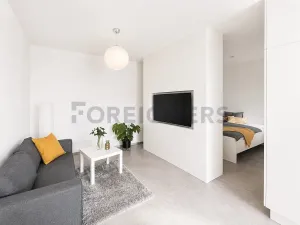 Pronájem bytu 1+kk, Plzeň, Kardinála Berana, 45 m2