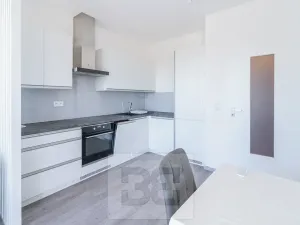 Pronájem bytu 1+kk, Beroun, Na Veselou, 44 m2