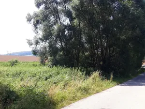 Prodej pozemku pro bydlení, Bouzov, 1296 m2