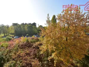 Pronájem bytu 1+1, Klášterec nad Ohří, Olšová, 40 m2