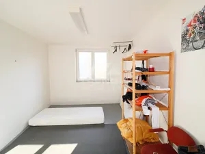 Prodej činžovního domu, Plzeň, Pod Všemi svatými, 450 m2