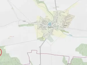 Prodej lesa, Puclice, 13840 m2