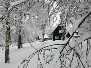 Prodej chalupy, Kounov, 267 m2