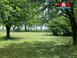 Prodej zahrady, Dobruška, Doly, 580 m2