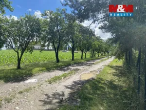 Prodej zahrady, Dobruška, Doly, 580 m2