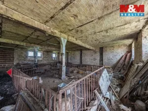 Prodej zemědělského objektu, Bor - Velká Ves, 627 m2