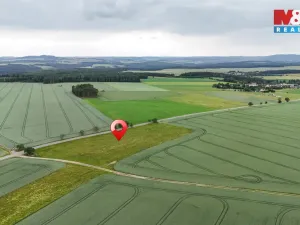 Prodej pole, Ostrov u Bezdružic - Krsov, 101002 m2