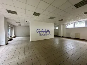 Pronájem obchodního prostoru, Kyjov, Kollárova, 226 m2