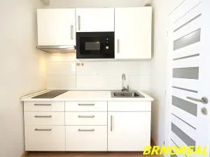 Pronájem bytu 1+kk, Brno, Vodní, 20 m2