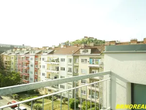 Pronájem bytu 1+kk, Brno, Vodní, 20 m2