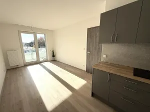 Pronájem bytu 2+kk, Brno, třída Generála Píky, 56 m2