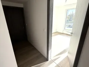 Pronájem bytu 2+kk, Brno, třída Generála Píky, 56 m2