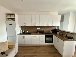 Pronájem bytu 3+kk, Bílovec, Sklenářská, 53 m2