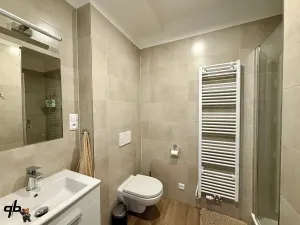 Pronájem bytu 3+kk, Bílovec, Sklenářská, 53 m2