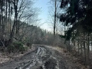 Prodej lesa, Zděchov, 5729 m2