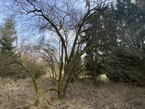 Prodej pozemku, Městečko Trnávka - Lázy, 384 m2