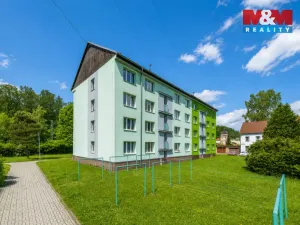 Prodej bytu 3+1, Kraslice, Družstevní, 62 m2