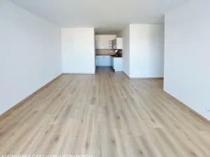 Pronájem bytu 3+kk, Brno, U Červeného mlýna, 97 m2