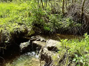 Prodej rodinného domu, Žďárky, 80 m2