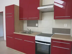 Pronájem bytu 1+kk, Samotišky, 40 m2