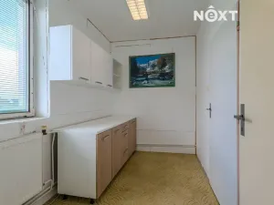Prodej obchodního prostoru, Petrov, 615 m2