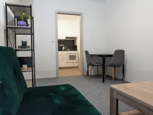 Pronájem bytu 2+1, Brno, Bratislavská, 50 m2