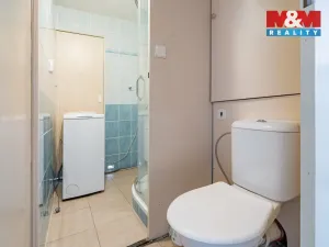 Prodej bytu 3+1, České Budějovice, Čéčova, 58 m2