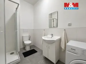 Pronájem bytu 1+1, Sokolov, Nádražní, 48 m2