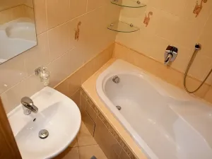 Pronájem bytu 3+1, České Budějovice, Dobrovodská, 66 m2