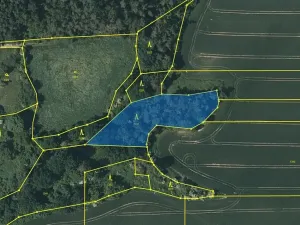 Prodej lesa, Černíkovice, 2471 m2