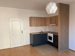 Pronájem bytu 1+kk, Praha - Záběhlice, Velenovského, 30 m2
