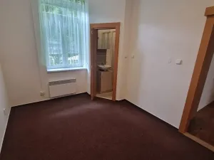 Pronájem bytu 2+kk, Brno, Bulharská, 51 m2