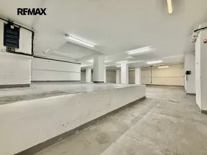 Pronájem skladu, Plzeň, Zikmunda Wintra, 520 m2