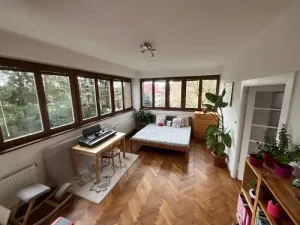 Prodej rodinného domu, Jihlava, Bratří Čapků, 330 m2