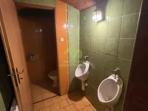 Pronájem restaurace, Plzeň, Lindauerova, 124 m2