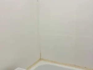 Prodej bytu 2+1, Praha - Záběhlice, Jahodová, 53 m2