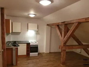 Pronájem bytu 1+kk, Ústí nad Labem, Londýnská, 52 m2