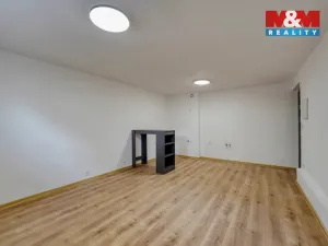 Prodej bytu 1+kk, Plzeň - Východní Předměstí, Ořechová, 26 m2