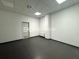 Pronájem kanceláře, Brno, Letiště Brno-Tuřany, 600 m2