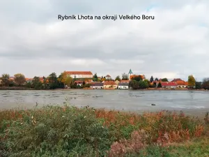 Prodej lesa, Velký Bor, 16139 m2