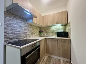 Pronájem bytu 2+kk, Plzeň, Mánesova, 43 m2