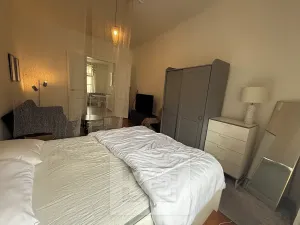 Pronájem bytu 1+1, Praha - Nové Město, Petrská, 37 m2