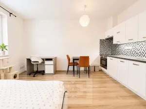 Pronájem bytu 1+kk, Brno, Vranovská, 26 m2