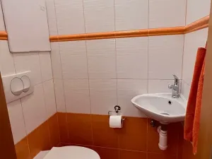 Prodej bytu 3+1, Přelouč, K. Čapka, 71 m2