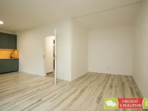 Pronájem bytu 1+kk, Praha - Strašnice, Štěchovická, 45 m2