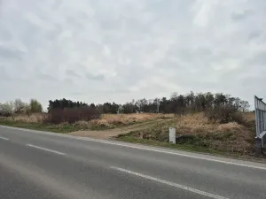Prodej komerčního pozemku, Doksy, Karlovarská, 2917 m2